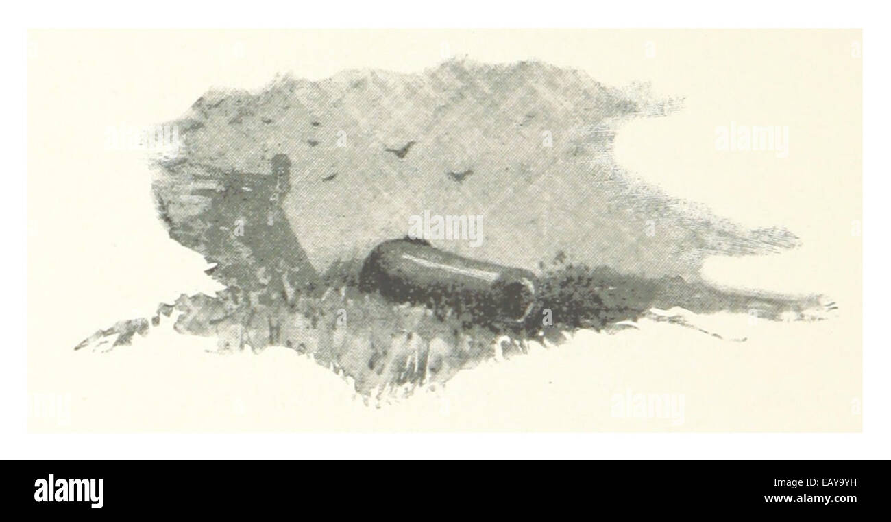 Diese Illustration aus Florida aus dem Jahr 1889 zeigt eine alte Kanone in St. Augustine, die die historische Bedeutung des Wahrzeichens in dieser frühen amerikanischen Stadt unterstreicht. Stockfoto