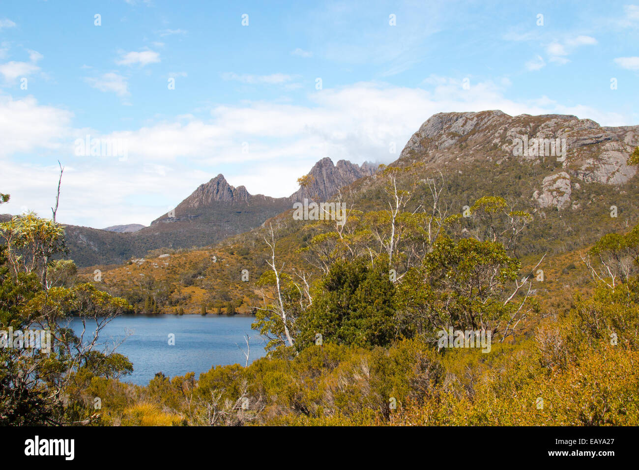 Cradle Mountain und Dove Lake in Cradle Mountain Wilderness National Park, Tasmanien, Australien Stockfoto