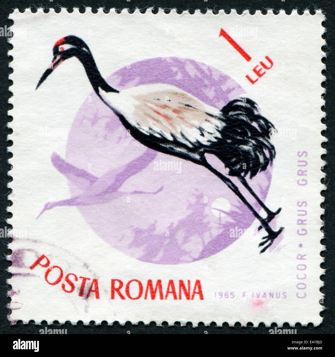 Rumänien - ca. 1965: Eine Briefmarke gedruckt in Rumänien zeigen Vögel ca. 1965 Stockfoto