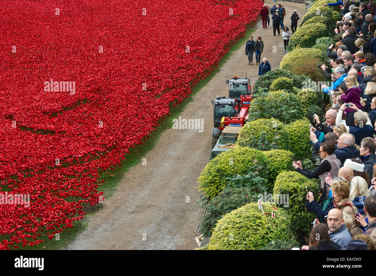 Publikum sieht die Mohnblumen am Turm Stockfoto