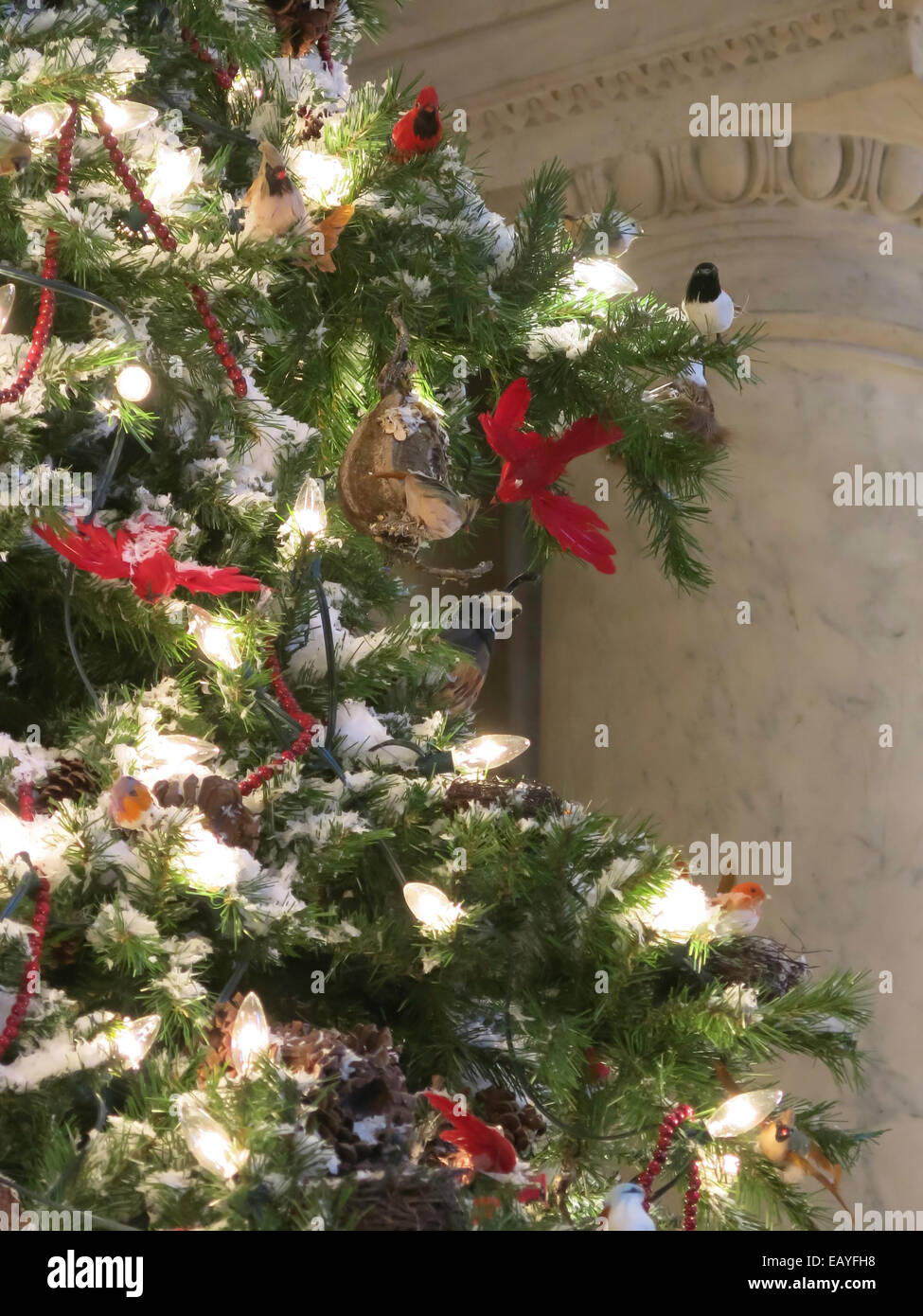 Urlaub Display, New York Public Library, New York, USA Stockfoto