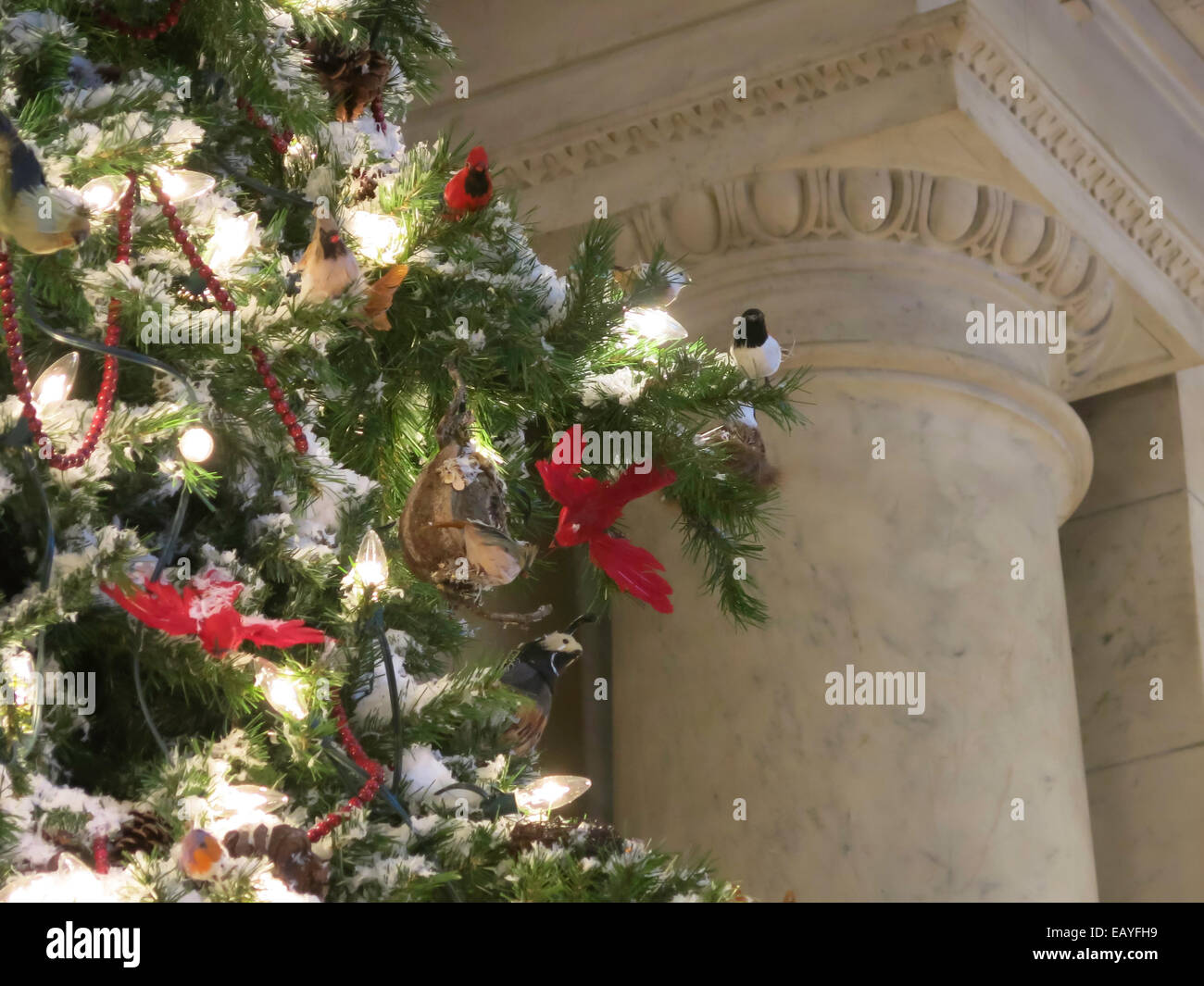 Urlaub Display, New York Public Library, New York, USA Stockfoto