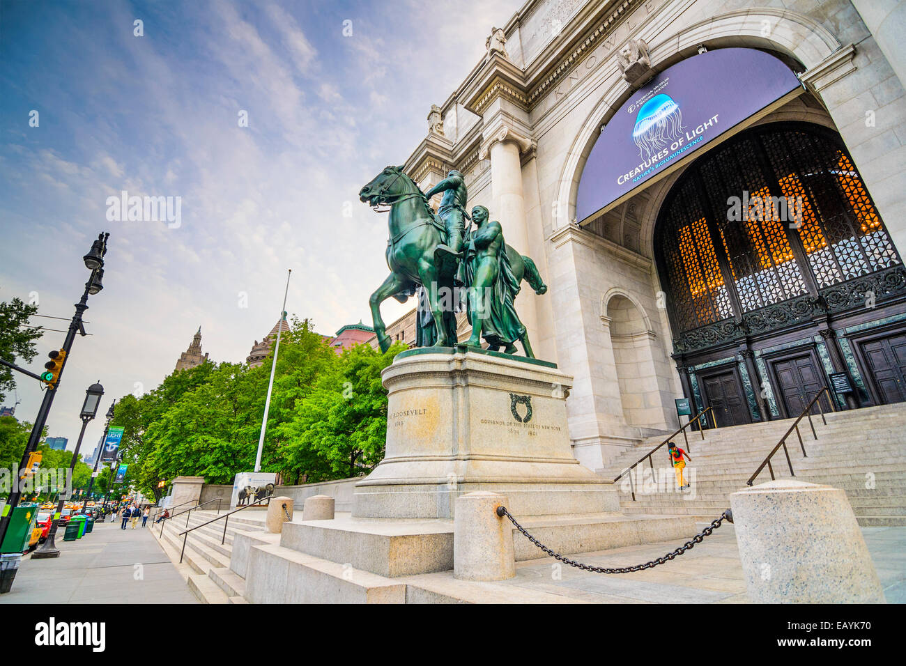 American Museum of Natural History in Manhattan. Die Sammlungen des Museums enthalten mehr als 32 Millionen Exemplare. Stockfoto