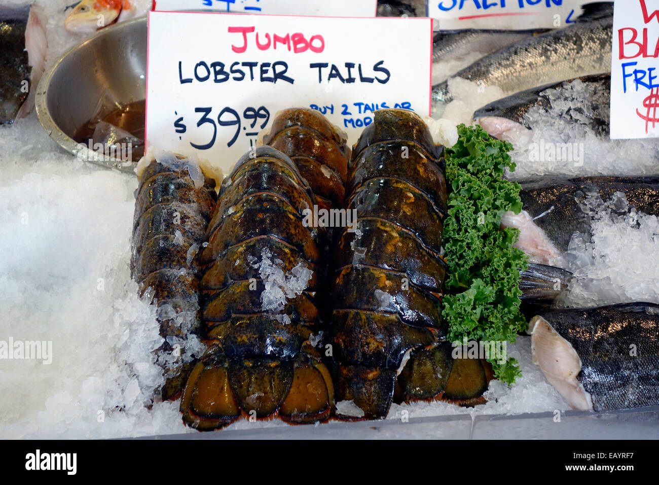 Riesige Hummerschwänze in einem Markt zu verkaufen Stockfoto