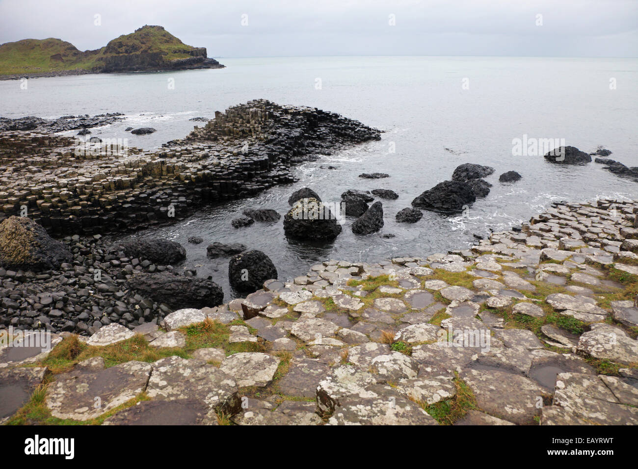 Der Giant's Causeway Stockfoto