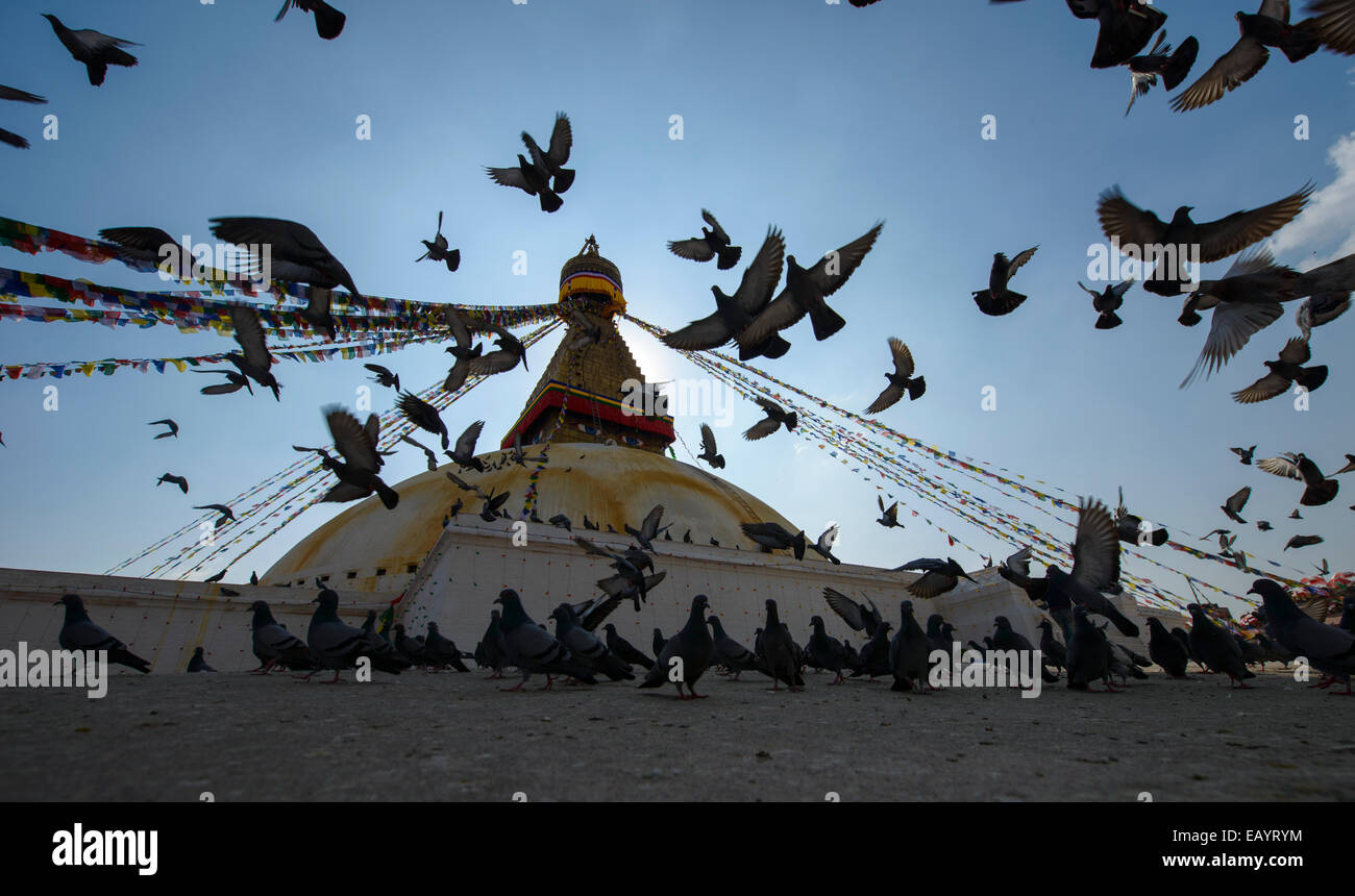 Fliegende Tauben auf der Boudhanath Stupa, Kathmandu, Nepal Stockfoto