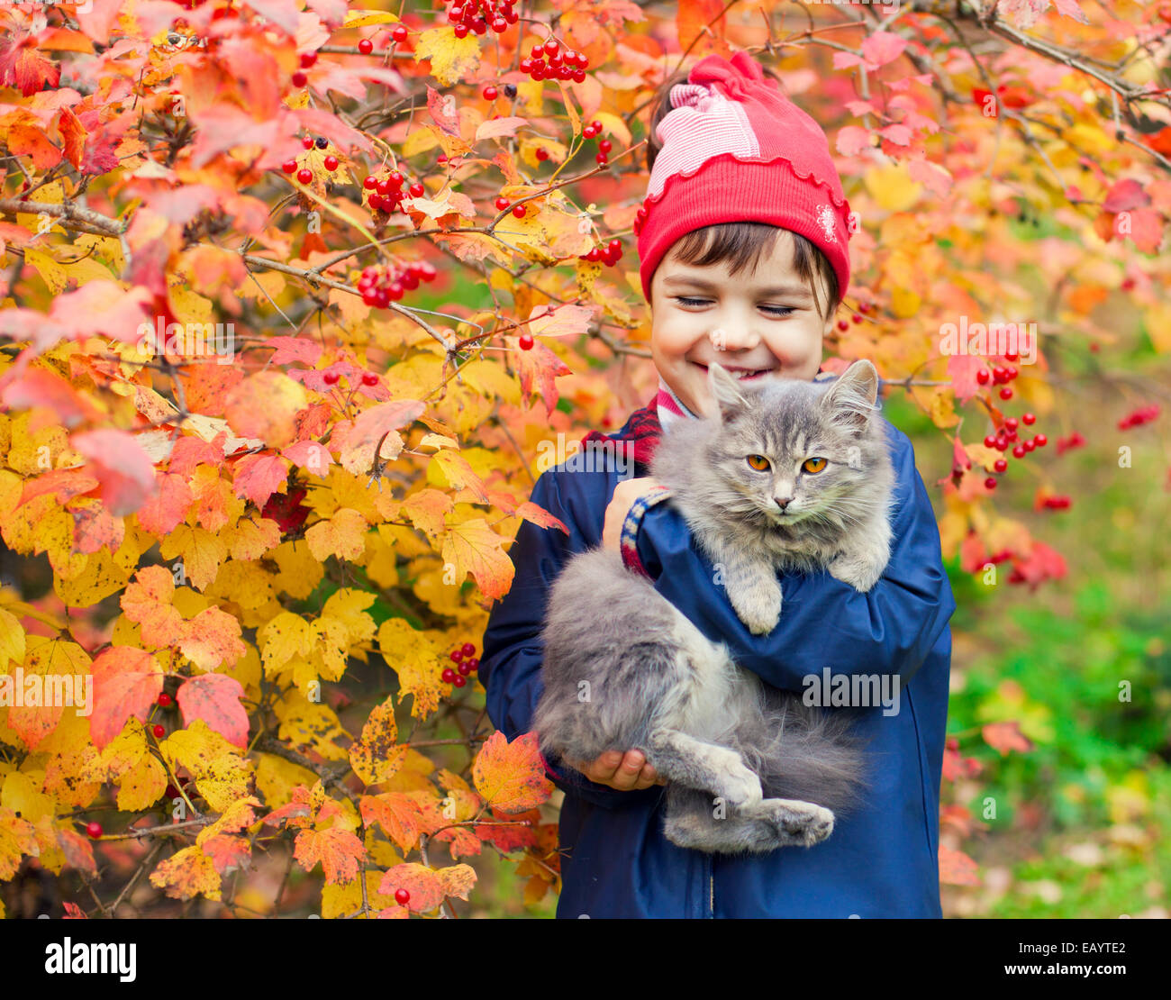 Glücklich lachende Mädchen umarmt eine Katze im Garten im Herbst Stockfoto