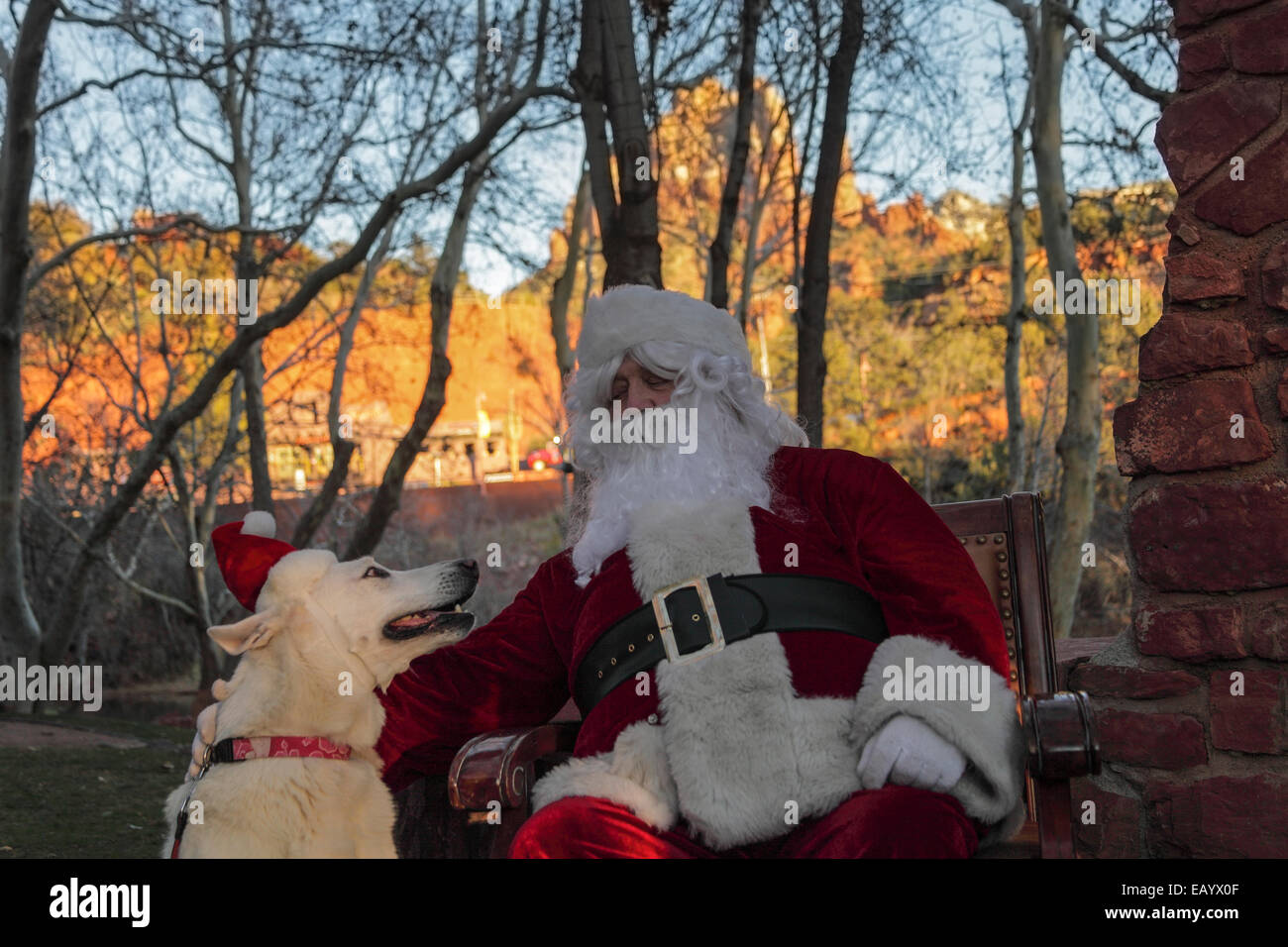 Hund trifft Santa in Los Abrigados Resort in Sedona bei Sonnenuntergang Stockfoto