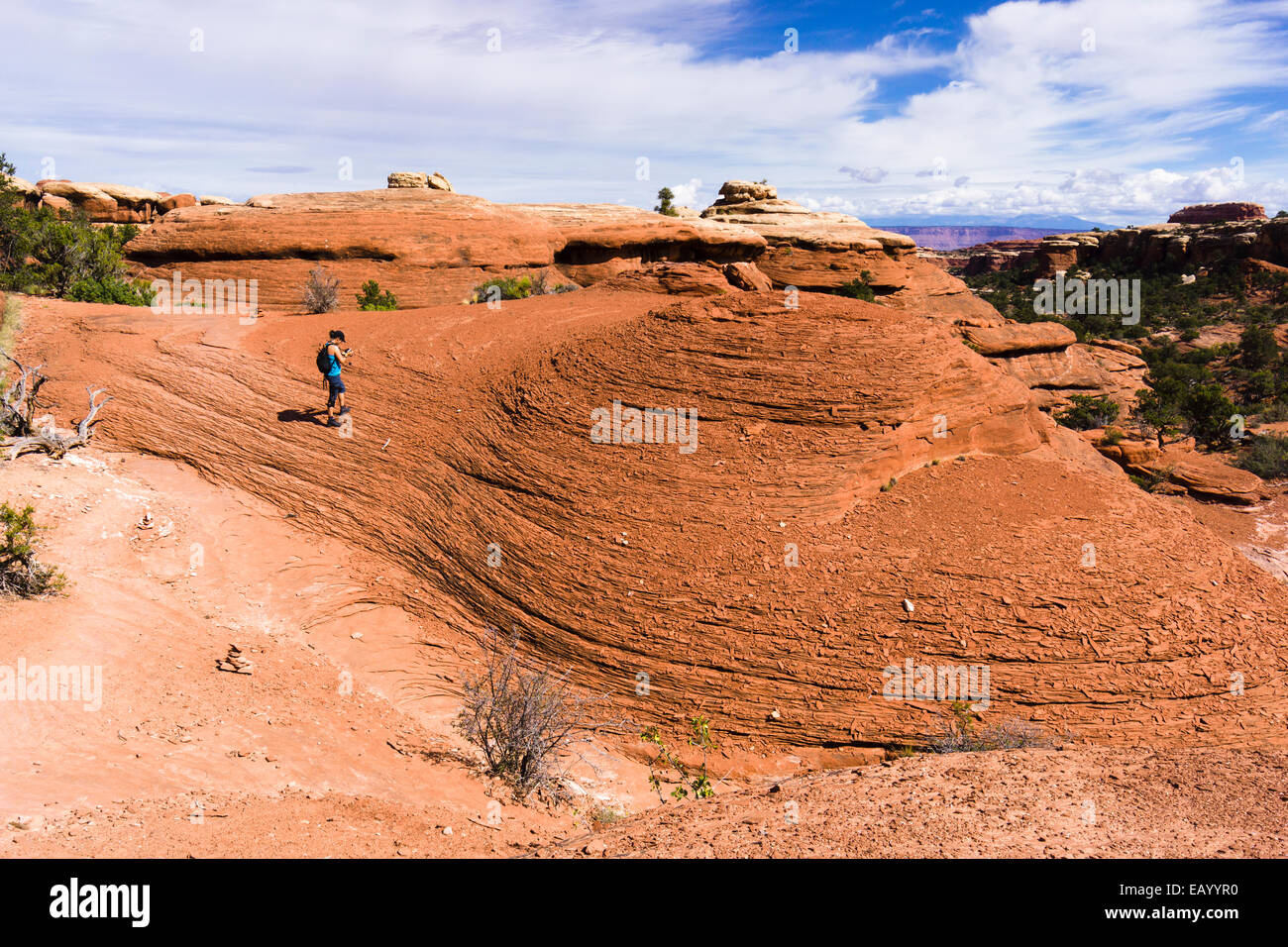 Weibliche Wanderer auf Trail Chesler Park. Die Nadeln District, Canyonlands National Park, Utah, USA. Stockfoto