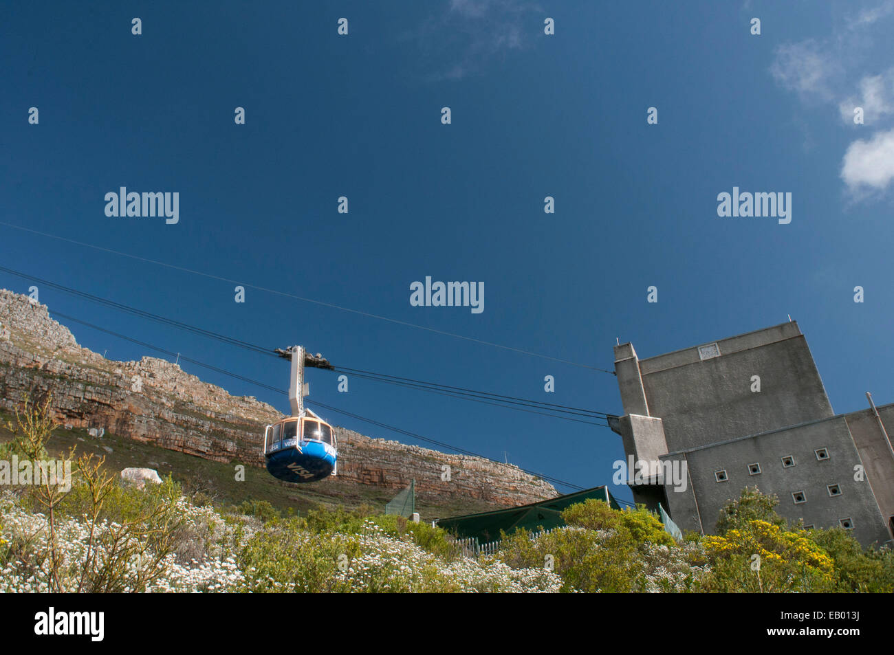 Eine Seilbahn geht es hinauf auf den Tafelberg in Kapstadt, Südafrika. Table Mountain ist ein abgeflachter Berg bilden eine pr Stockfoto