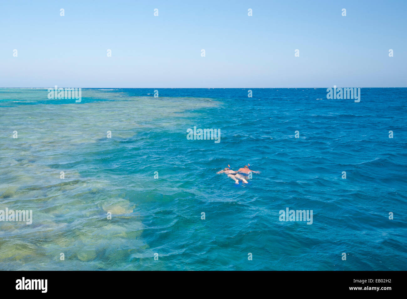 Zwei Menschen, die im Ozean in tropischen Korallenriff schnorcheln Stockfoto