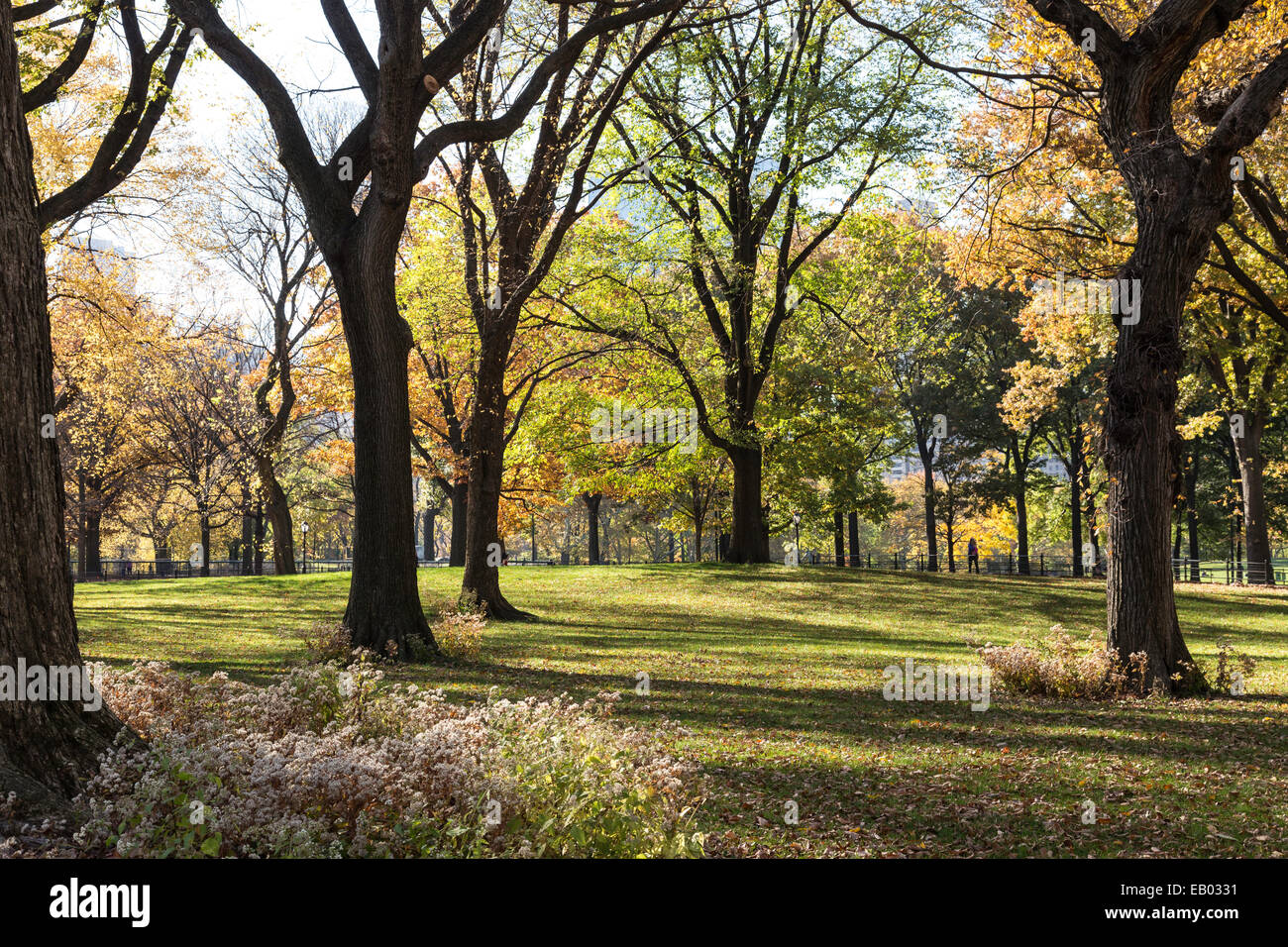 Central Park, Herbst NYC Stockfoto