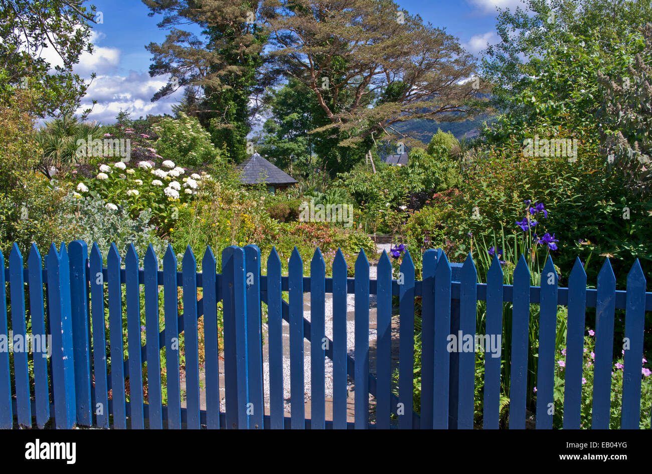 Geschützten Garten mit Sträuchern und Staudenrabatten in Blüte im Sommersonnenschein, Plockton, Wester Ross, Schottisches Hochland Stockfoto