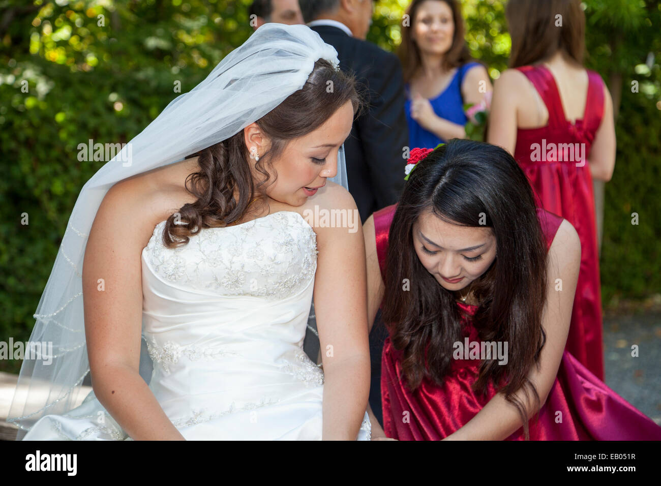 Brautjungfer, die Unterstützung der Braut, Ross, Kalifornien, USA Stockfoto