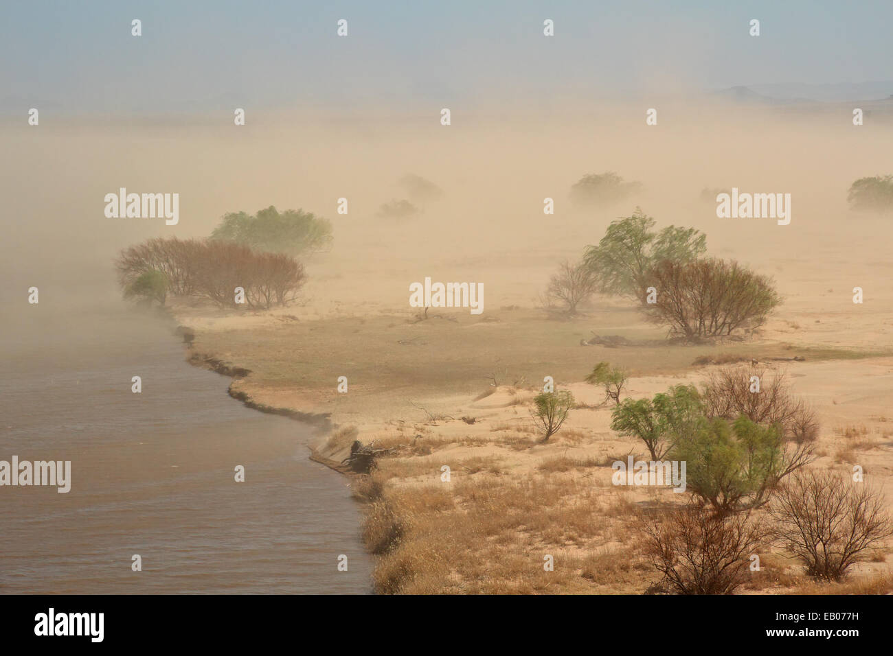 Schwerer Sandsturm mit vom Wind verwehten Bäume am Rande eines Sees, Südafrika Stockfoto