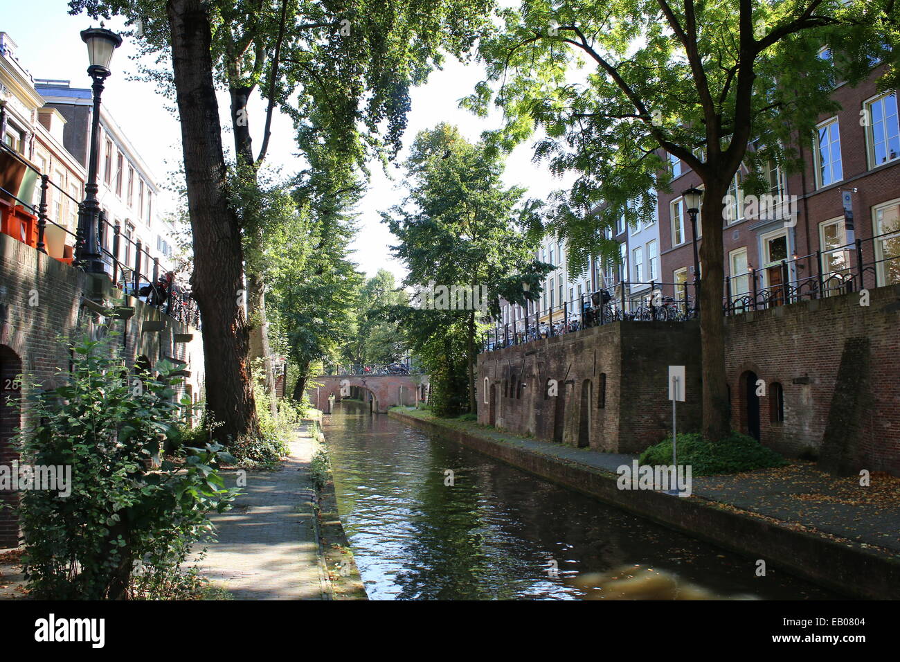 Nieuwegracht, ein Baum-schattierte Kanal mit alten abgesenkten Kais in der mittelalterlichen Innere Stadt Utrecht, Niederlande Stockfoto