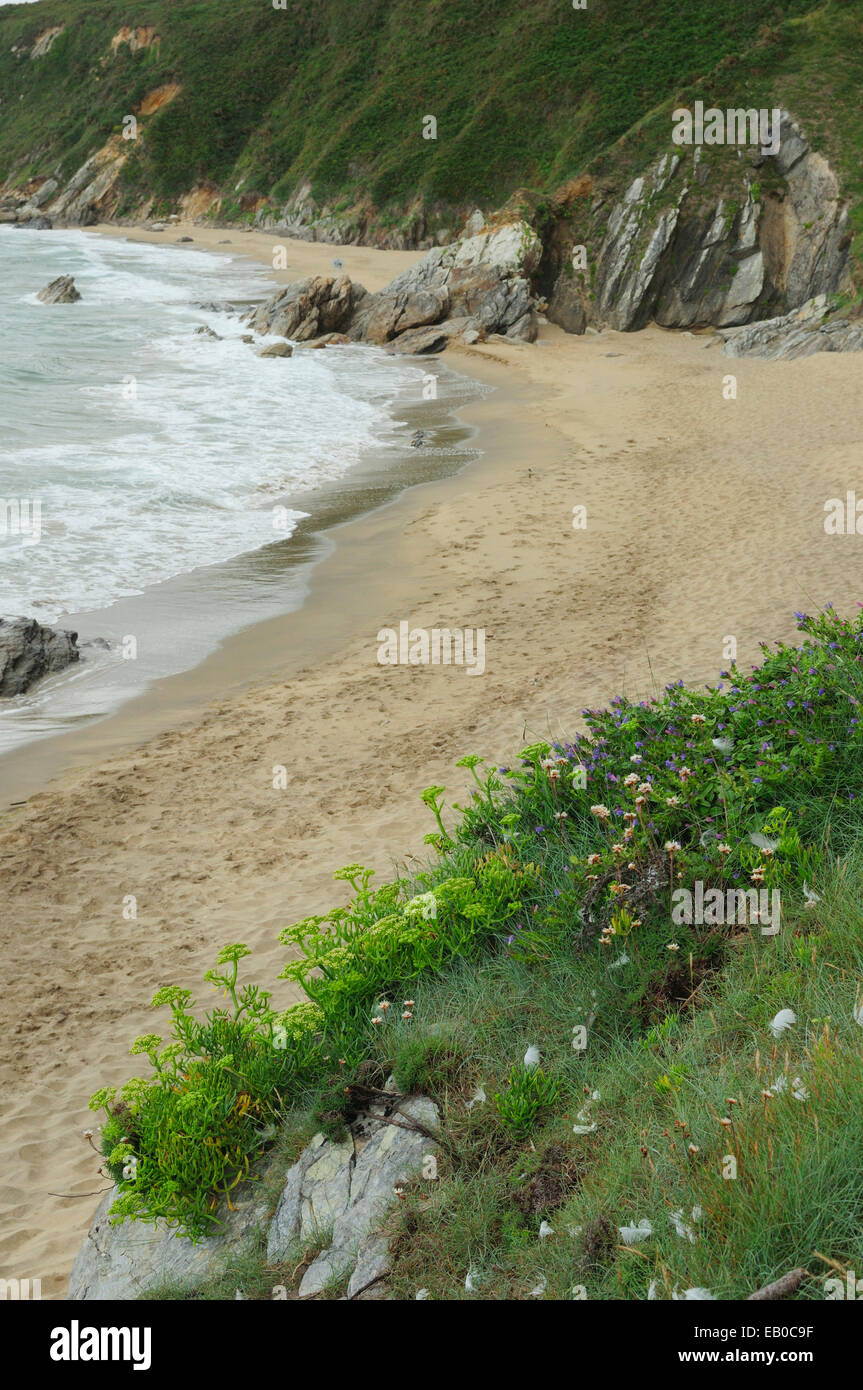Als Torradas Strand. Malpica de Bergantiños, Galicien, Spanien. Stockfoto