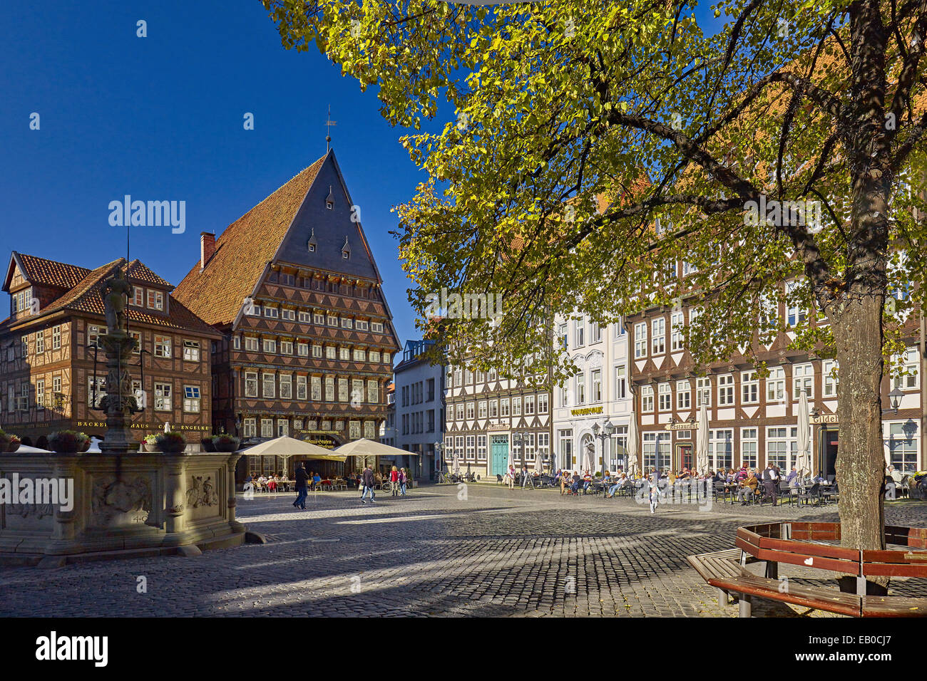 Markt in Hildesheim mit Zunfthäuser, Deutschland Stockfoto