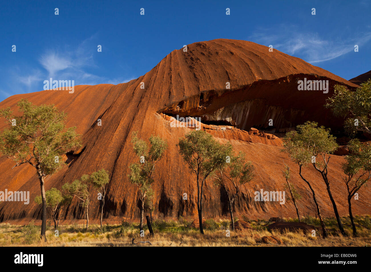 Uluru Kata Tjuta Nationalparks Northern Territory Australien Stockfoto