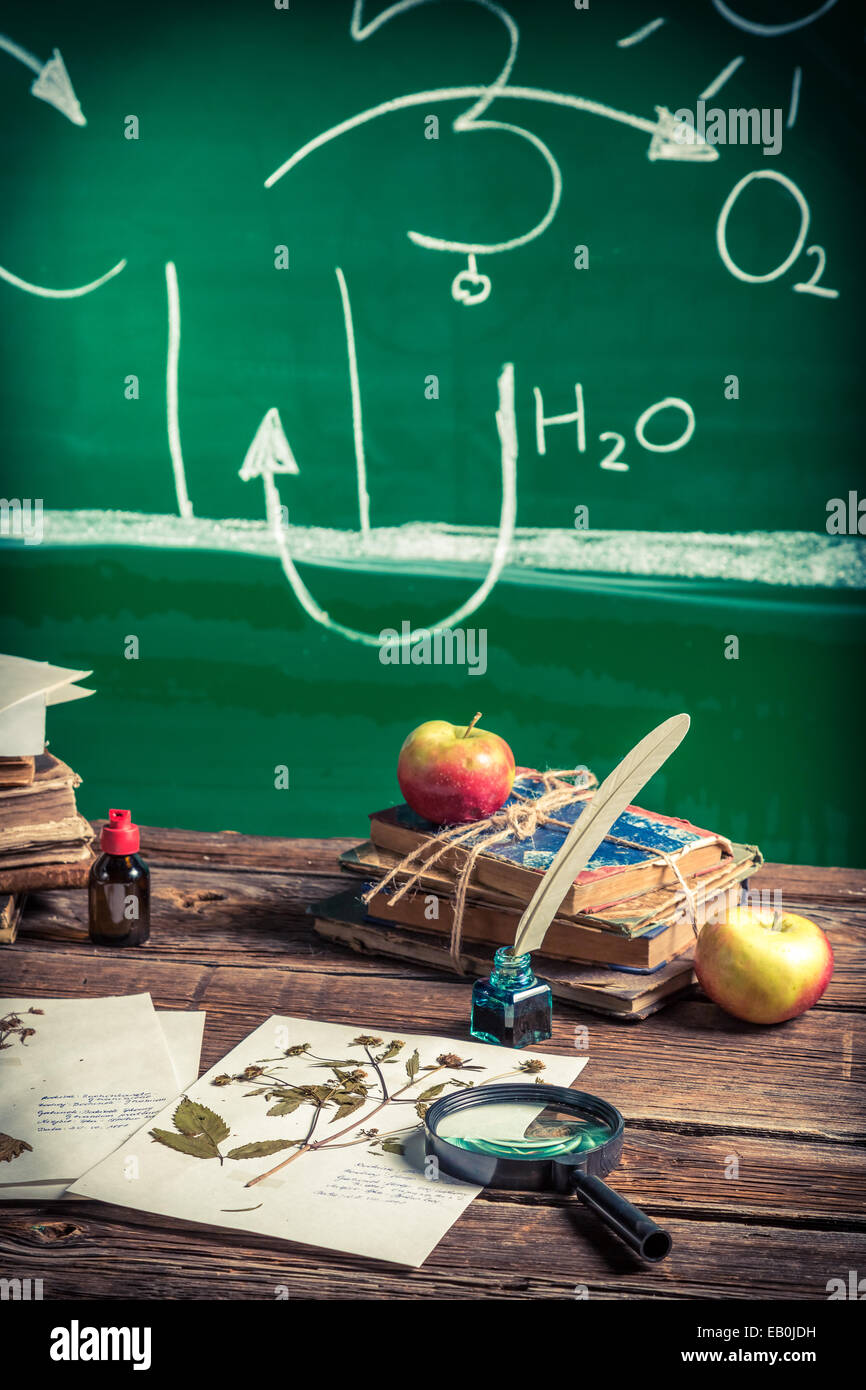 Unterricht Biologie in der Schule Stockfoto