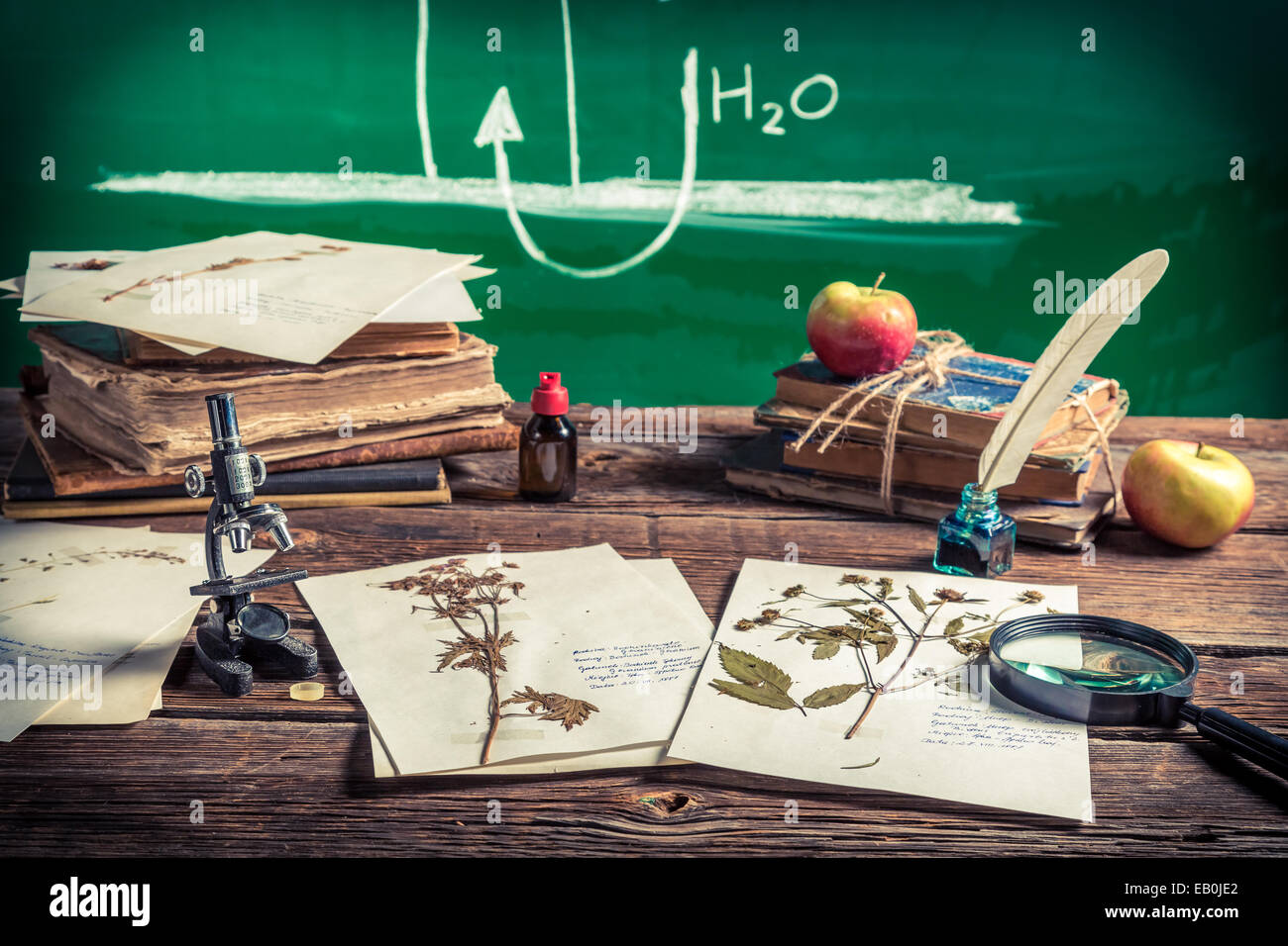 Unterricht Biologie an alte Schule Stockfoto