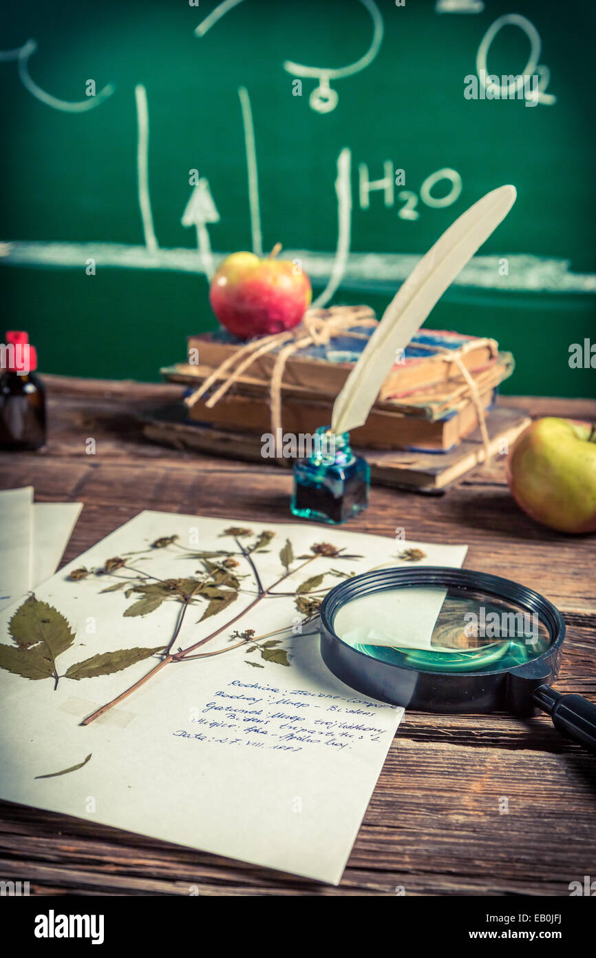 Vintage Biologie-Unterricht in der Schule Stockfoto