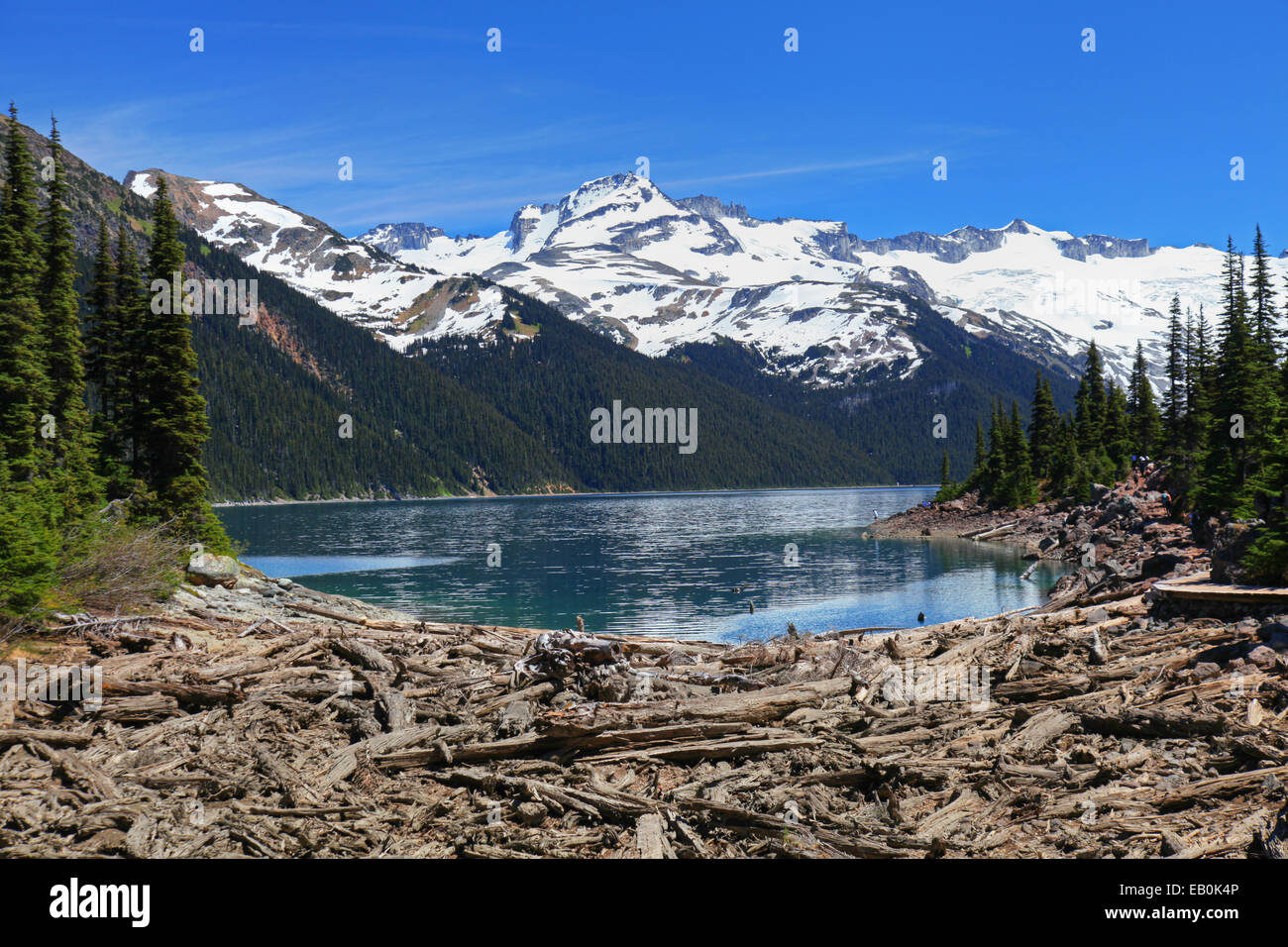 Garibaldi Lake in British Columbia, Kanada Stockfoto