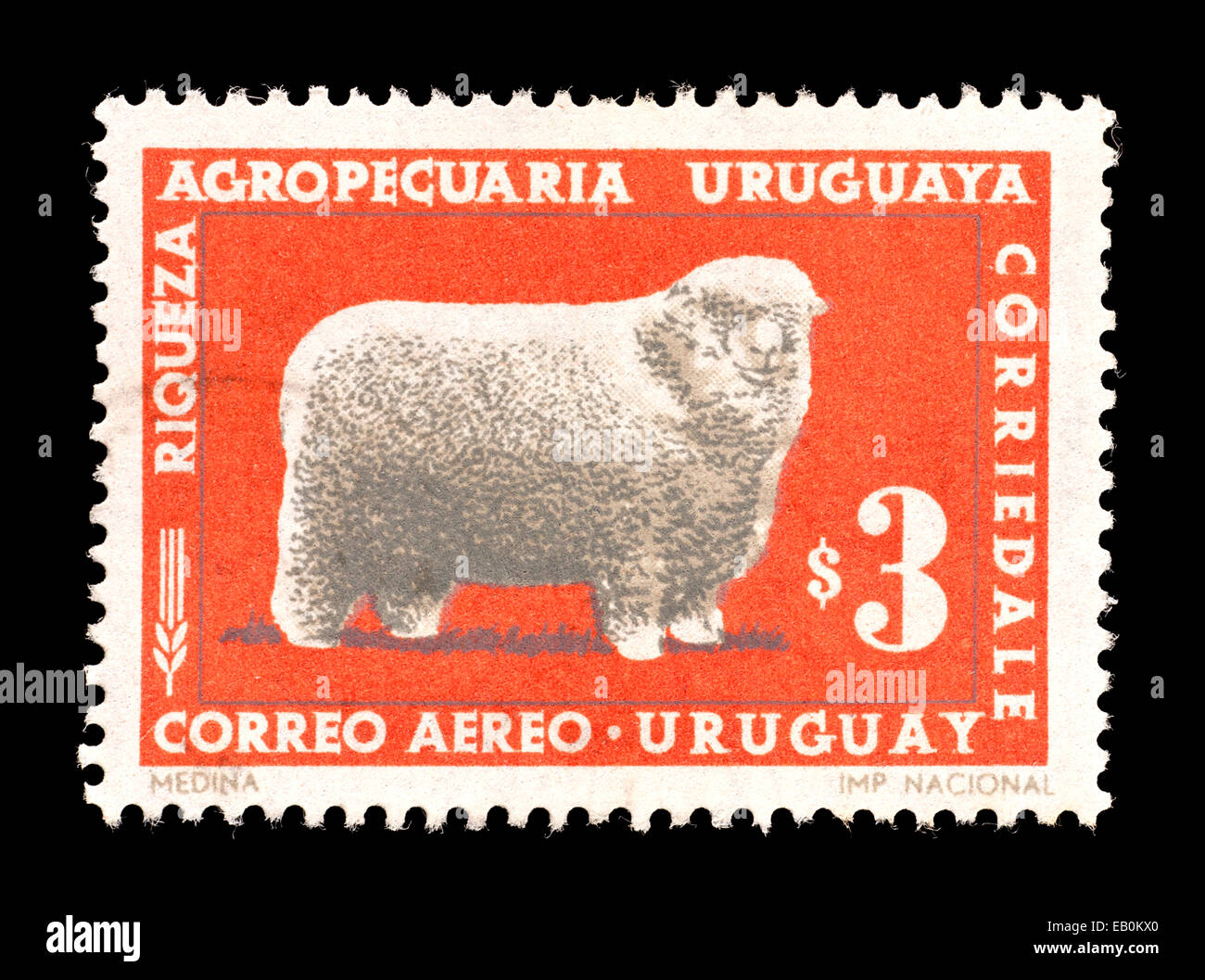 Briefmarke aus Uruguay Darstellung eine Corriedale-Ram. Stockfoto