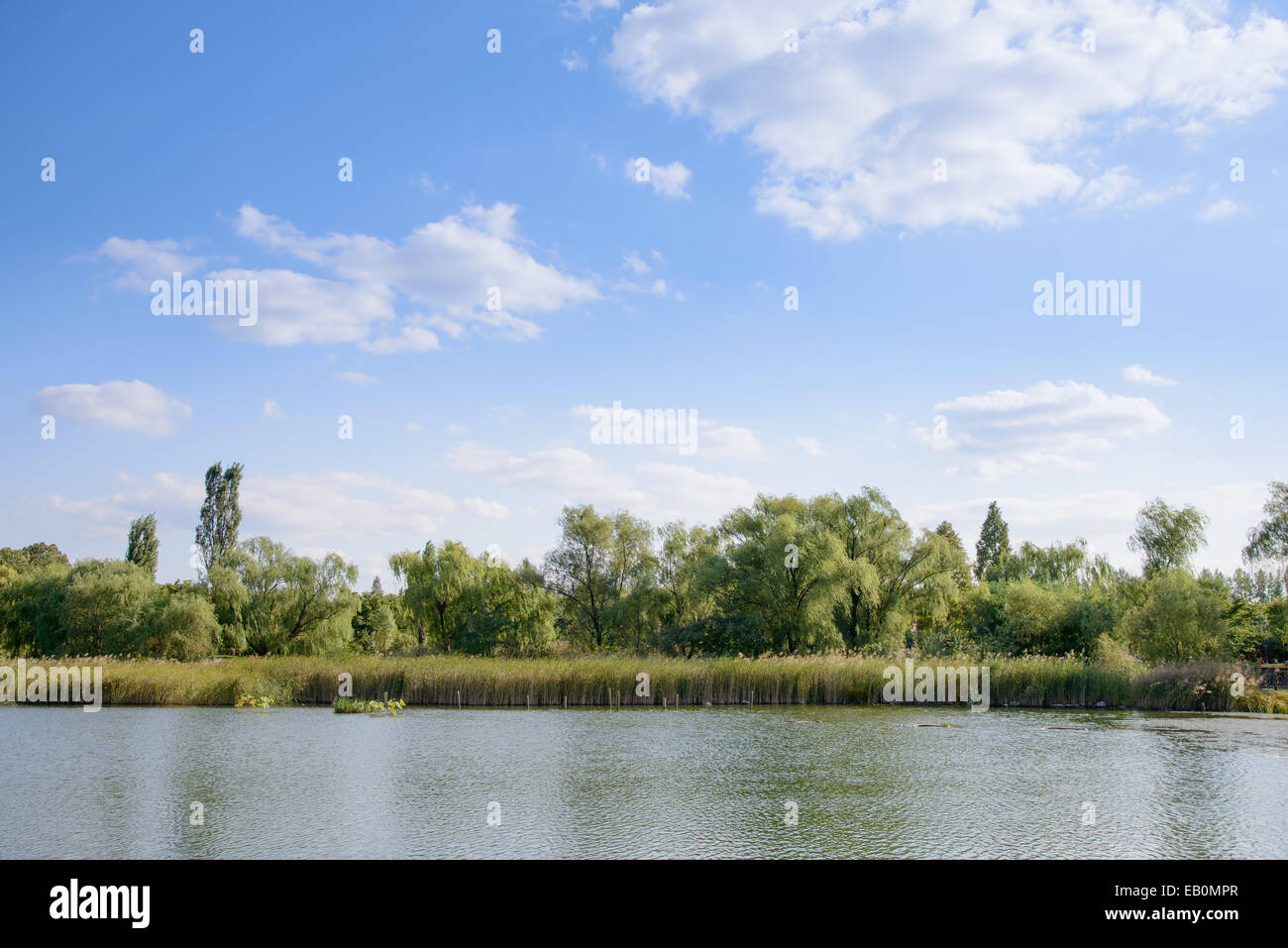 Landschaft des Sees mit Bäumen im sonnigen Tag Stockfoto