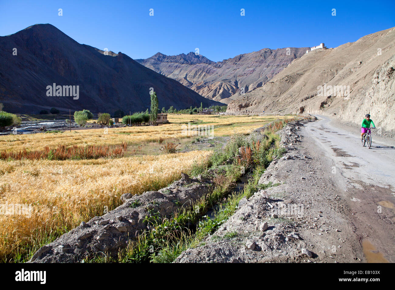 Radfahrer auf dem Manali Leh Highway in Ladakh Stockfoto