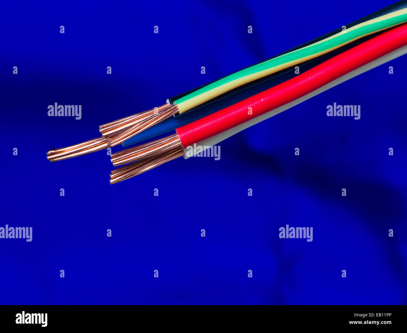 Drei Phase elektrische Hochspannungskabel mit Kupferleiter - Nahaufnahme auf blauem Hintergrund Stockfoto