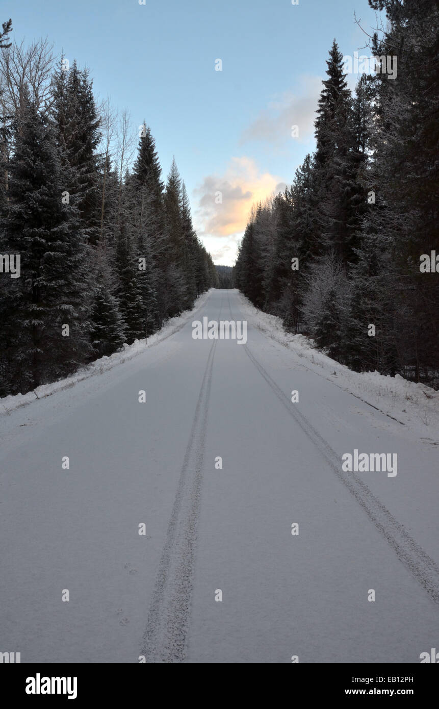 Yaak River Road mit Auto- und Tierspuren im Winter. Yaak Valley, Montana. (Foto von Randy Beacham) Stockfoto