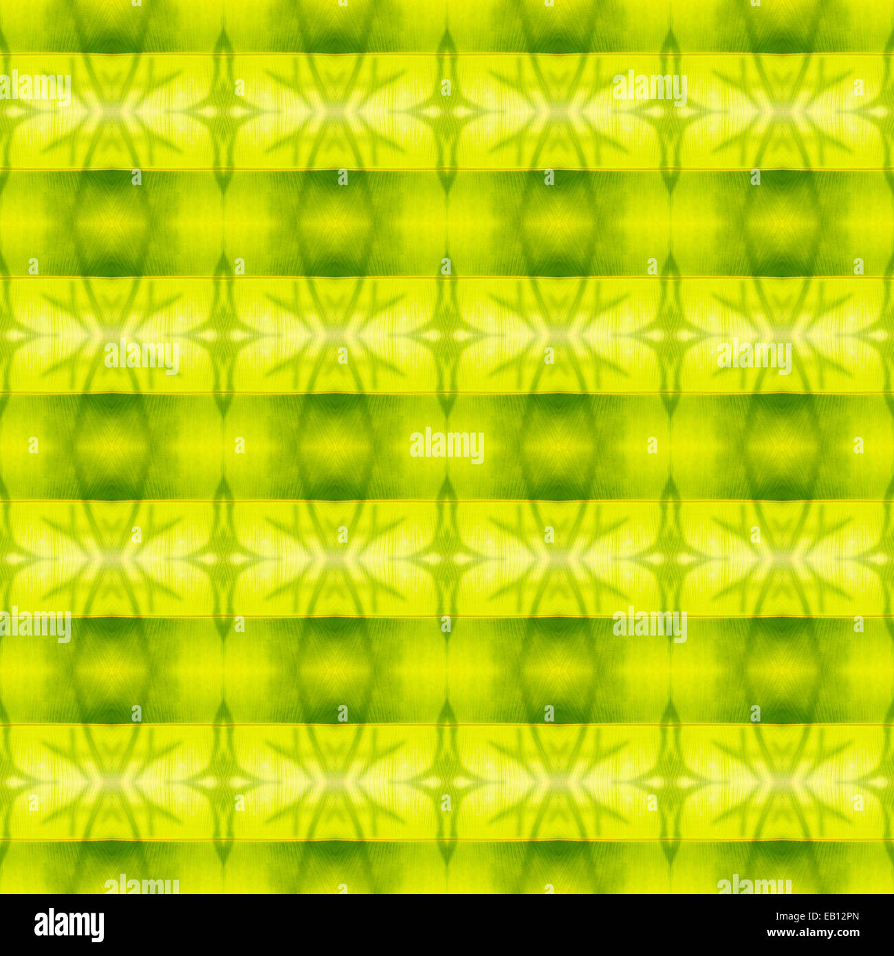 Natur grünes Blatt Textur dekorative Design-pattern Stockfoto