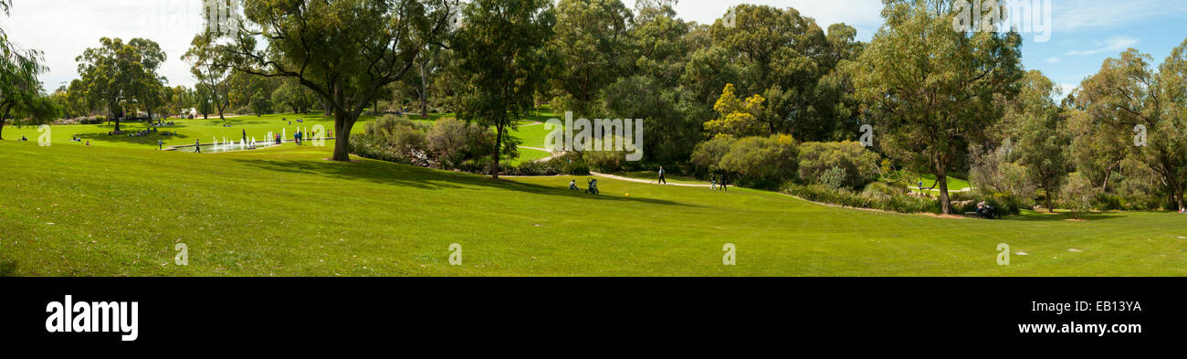 Kings Park, Perth Panorama, WA, Australien Stockfoto
