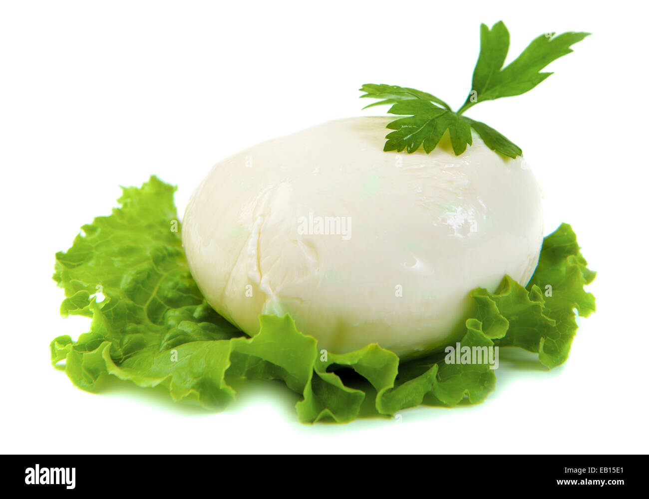 Mozzarella-Käse auf grünes Blatt Stockfoto