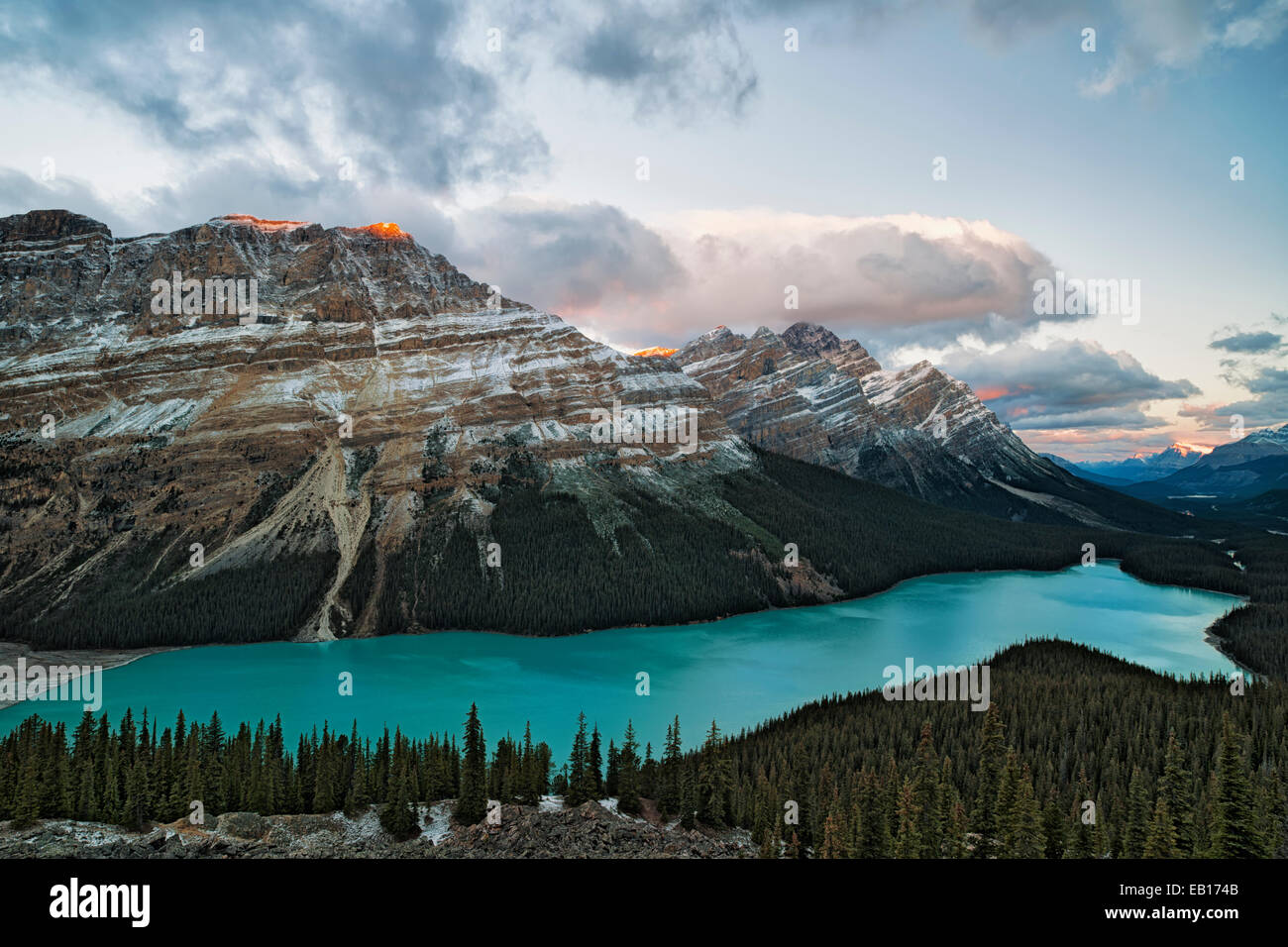 Erste Licht von Bow Summit enthüllt Neuschnee auf Albertas kanadischen Rockies mit der spektakulären türkisblaue Farbe des Peyto Lake. Stockfoto