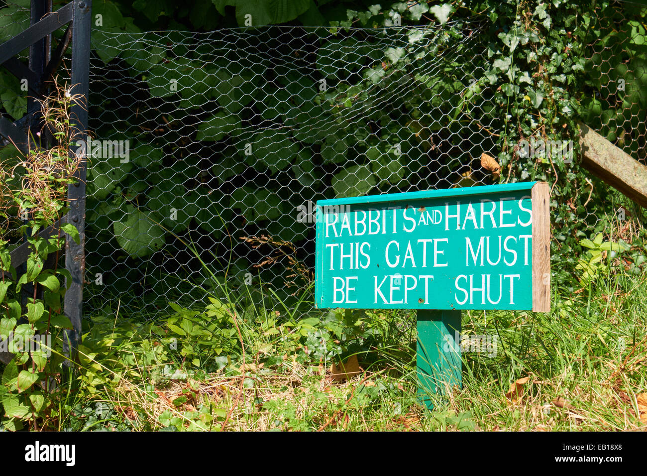 Ein Schild Warnung des Problems der Kaninchen und Hasen außerhalb ein Erbe Blumengarten. Stockfoto