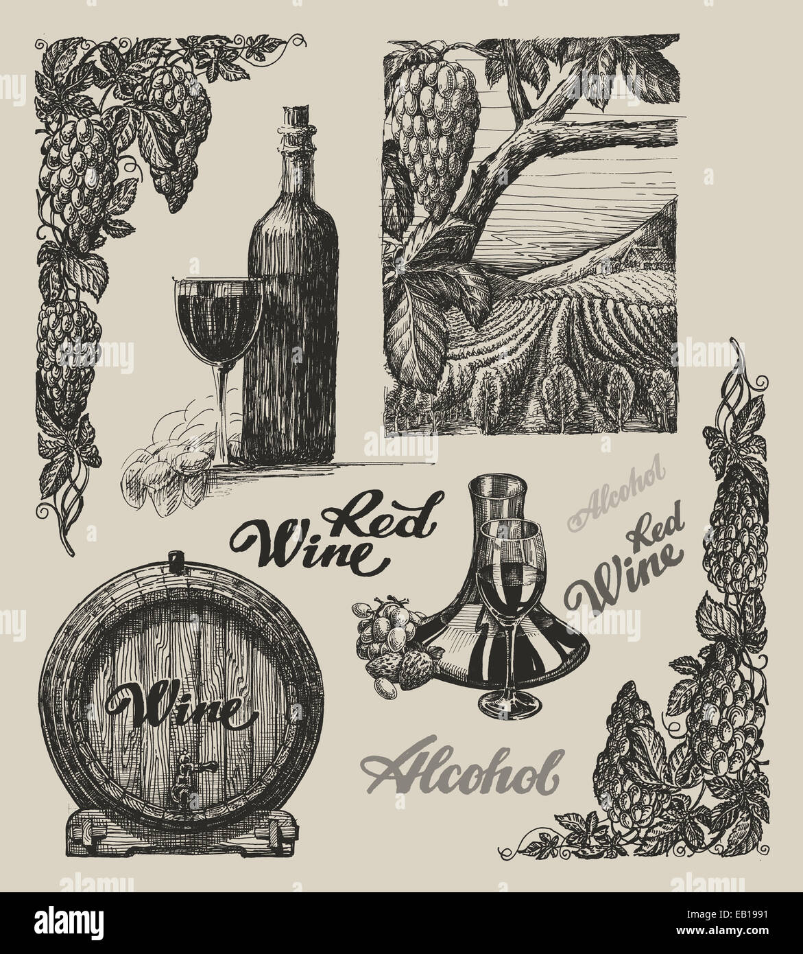 Hand gezeichnet Vektor Wein und Weinbau eingestellt Stockfoto