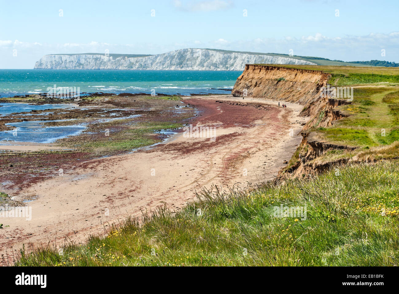 Küstenlandschaft zwischen Freshwater Bay und Crompton Bay an der Südküste der Isle of Wight, England Stockfoto