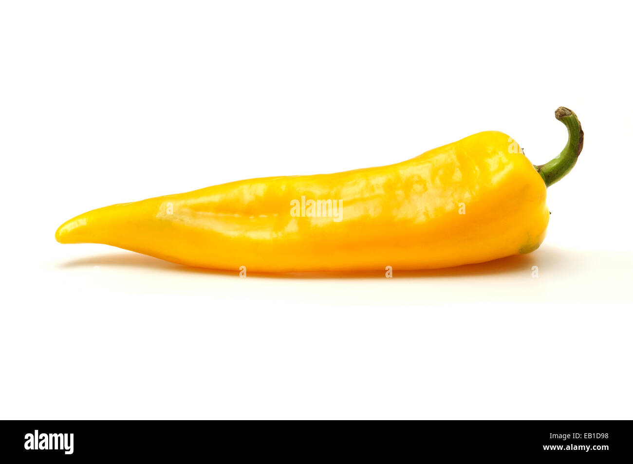 Italienische Paprika auf weißem Hintergrund Stockfoto