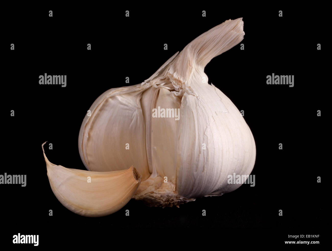 Knoblauch auf schwarzem Hintergrund isoliert Stockfoto