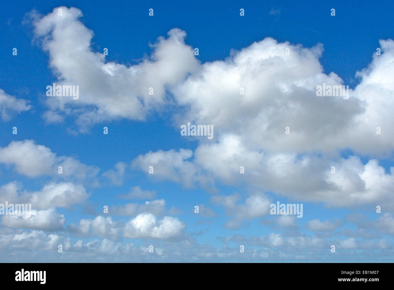 Cumulus-Wolken über dem Meer Stockfoto