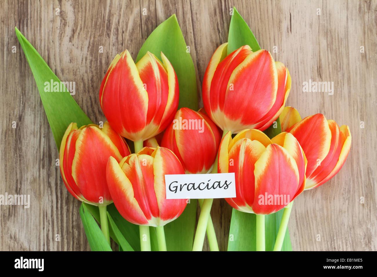 Gracias Karte Stockfotos und -bilder Kaufen - Alamy