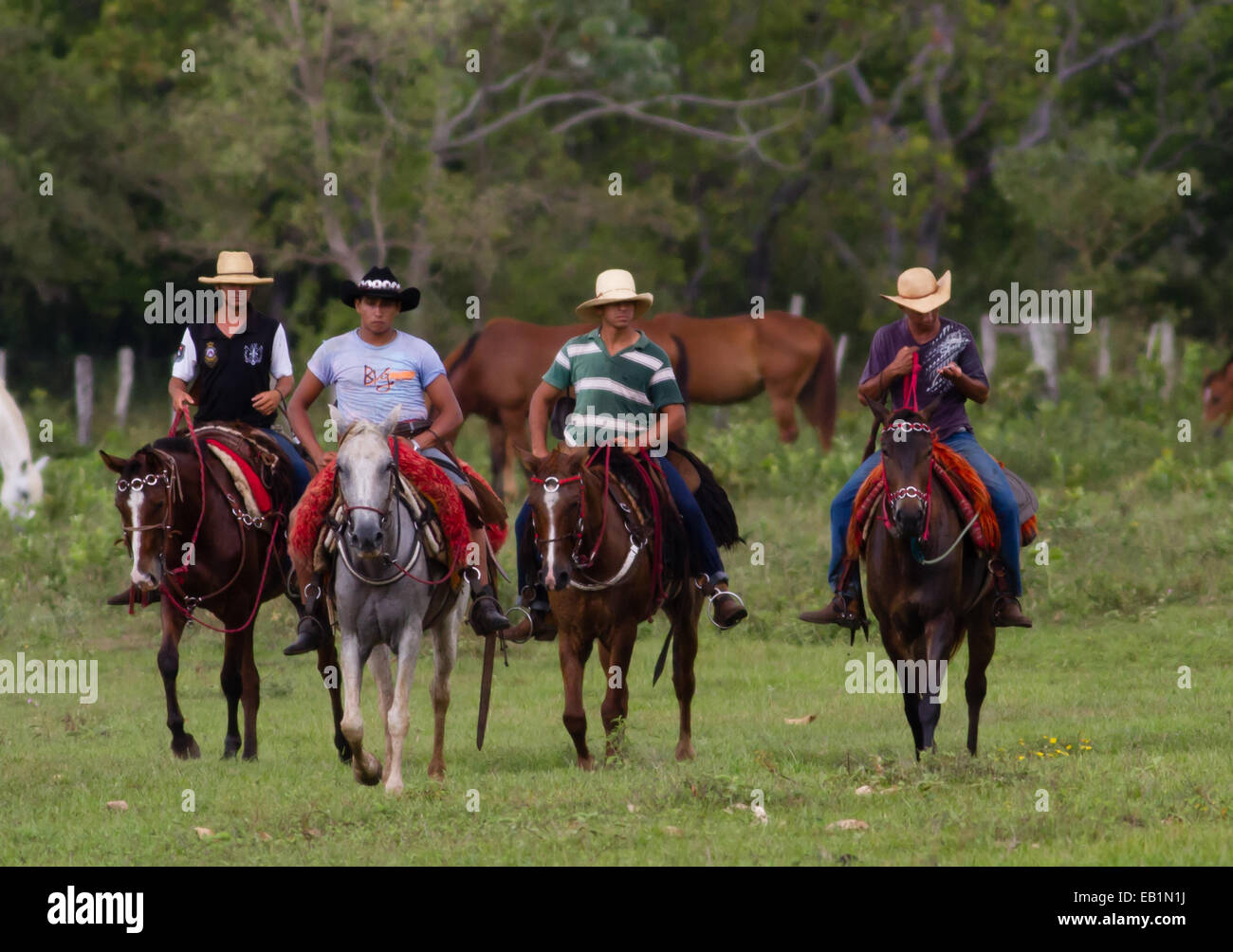 Brasilianische Cavaleiros (Cowboys) im Großraum Pantanal von Mato Grosso tun Sul Zustand, Brasilien Stockfoto