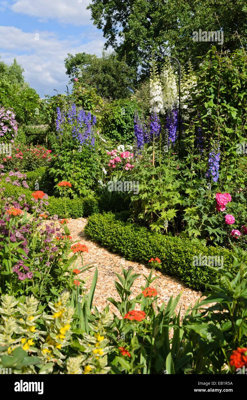 Große masterwort (astilbe), malteserkreuz (Lupinus chalcedonica Syn. silene chalcedonica), Rittersporn (delphinium elatum) und Rosen (Rosa). Stockfoto