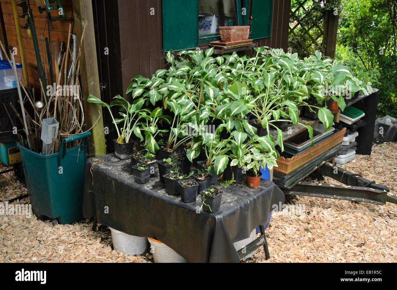 Arbeitsplatz im Garten Stockfoto