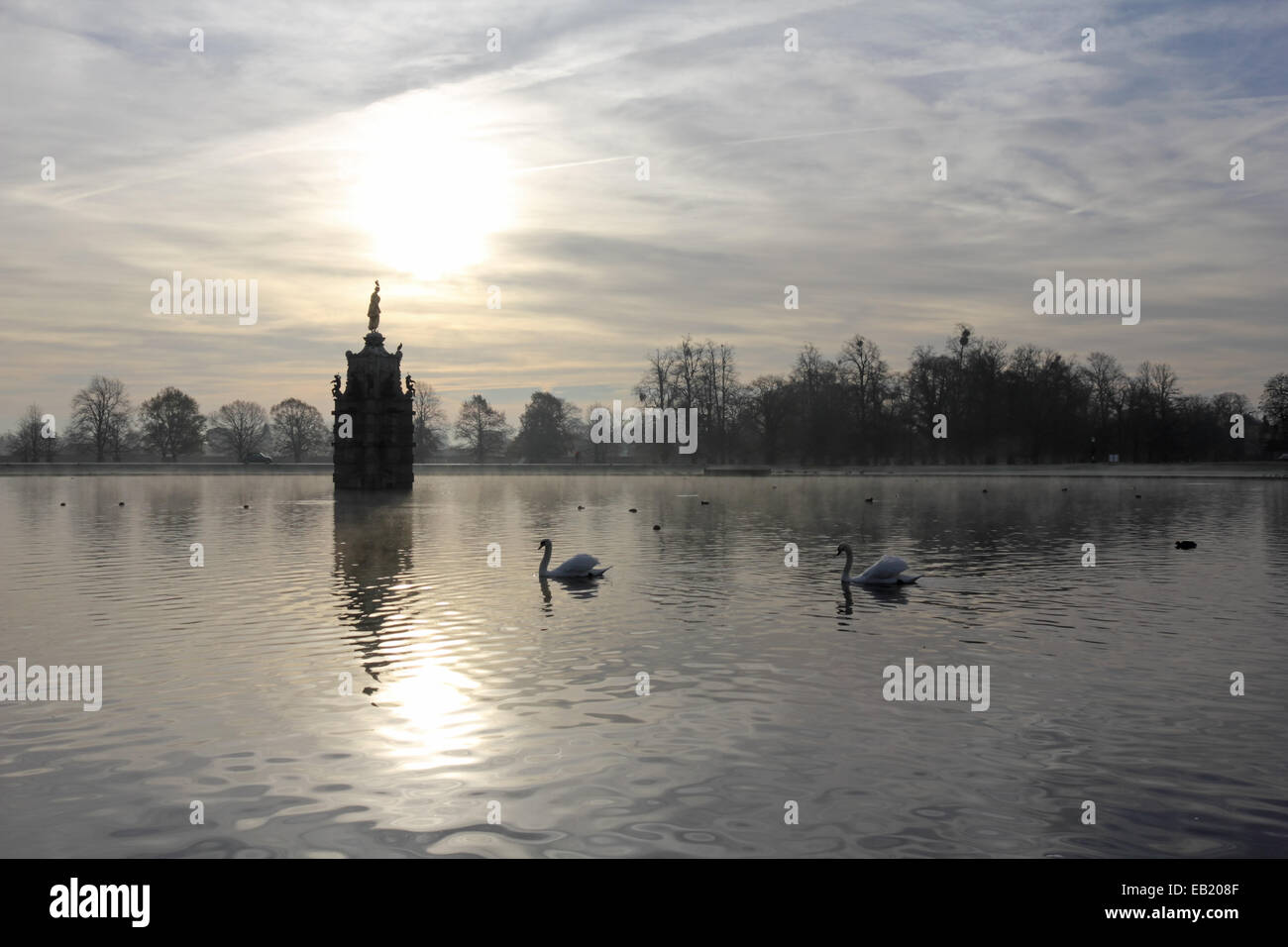 Bushy Park, SW-London, England, UK. 24. November 2014. Zwei Schwäne schwimmen über die Diana Pond in Bushy Park an einem nebligen und frostigen Morgen im Südosten Englands. Bildnachweis: Julia Gavin UK/Alamy Live-Nachrichten Stockfoto