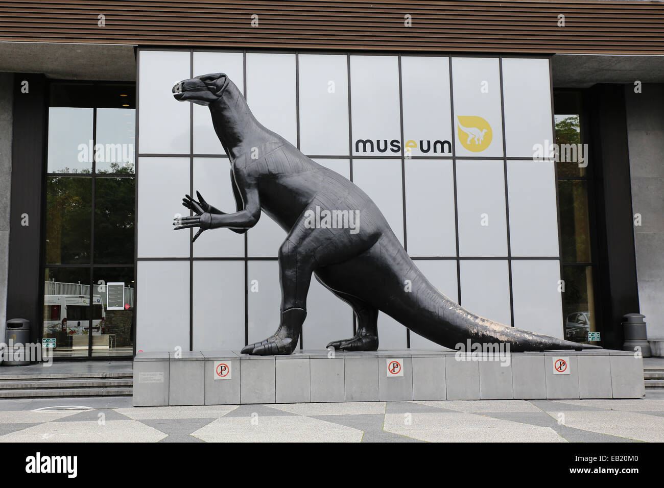 Brüssel Königliche Belgische Natural Science museum Stockfoto