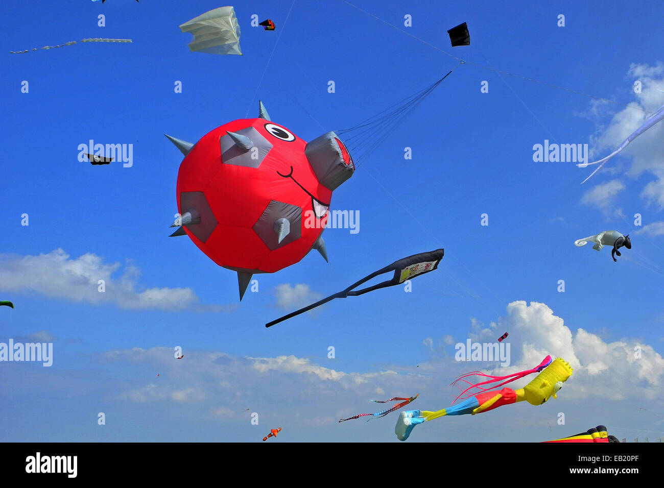 Drachenfest am strand in schillig in niedersachsen Fotos und