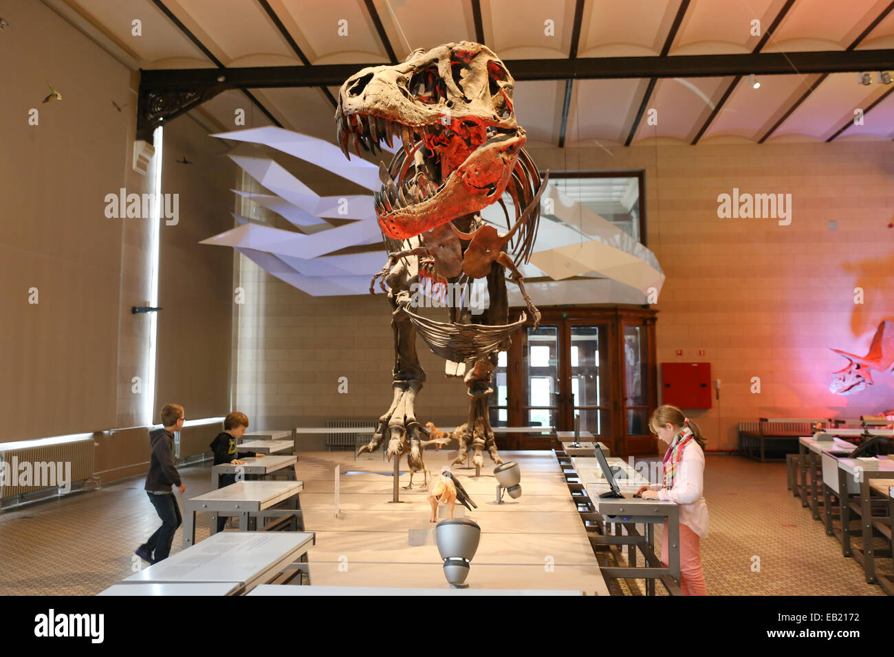 junge Kinder Kind in Wissenschaft Museum Bildung Europa Stockfoto